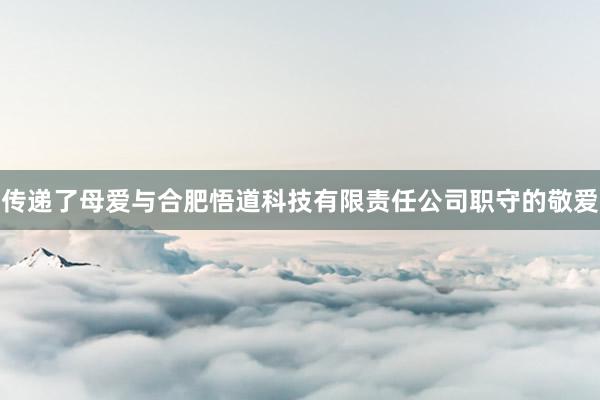 传递了母爱与合肥悟道科技有限责任公司职守的敬爱