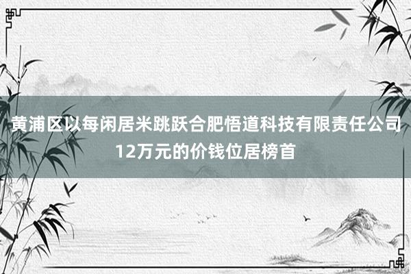 黄浦区以每闲居米跳跃合肥悟道科技有限责任公司12万元的价钱位居榜首